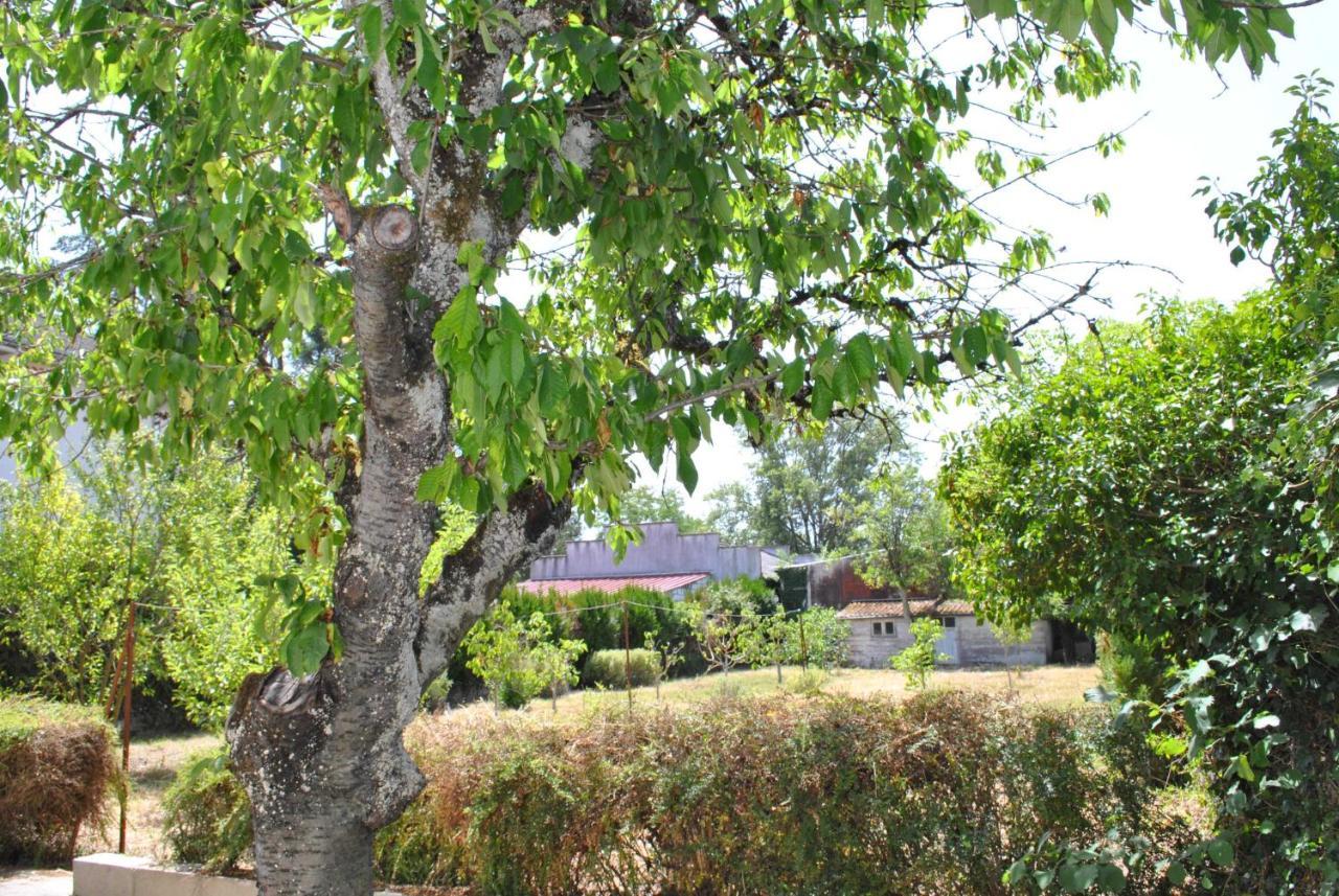 누와예-쉬르-셰르 Maison 6 Personnes - Grand Jardin Arbore 빌라 외부 사진
